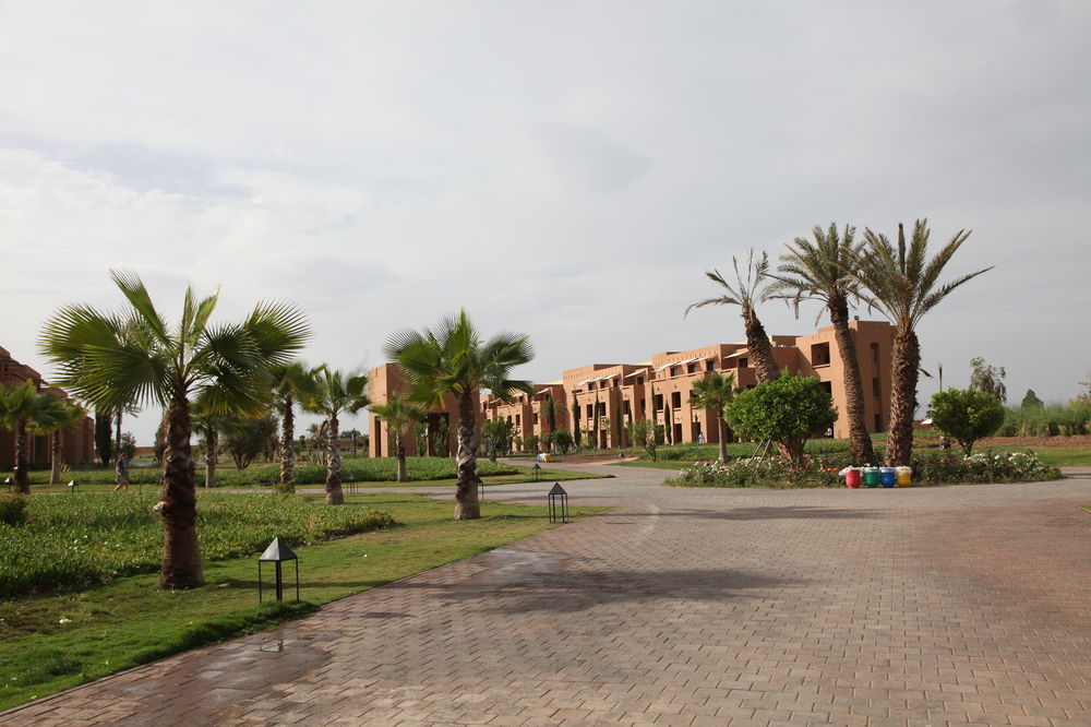 listing card gallery